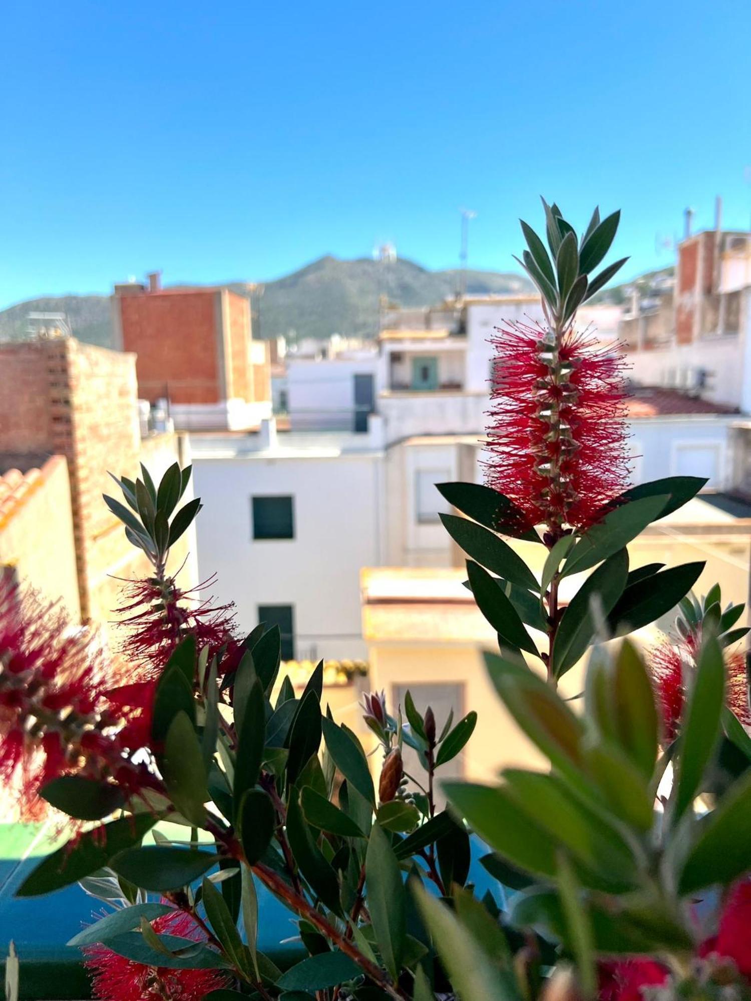 Guest house Escondite Con Terraza Compartida En La Azotea